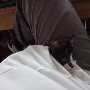 女人扒口尿给男人摸
