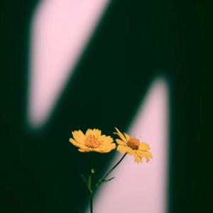 女人扒口尿给男人摸
